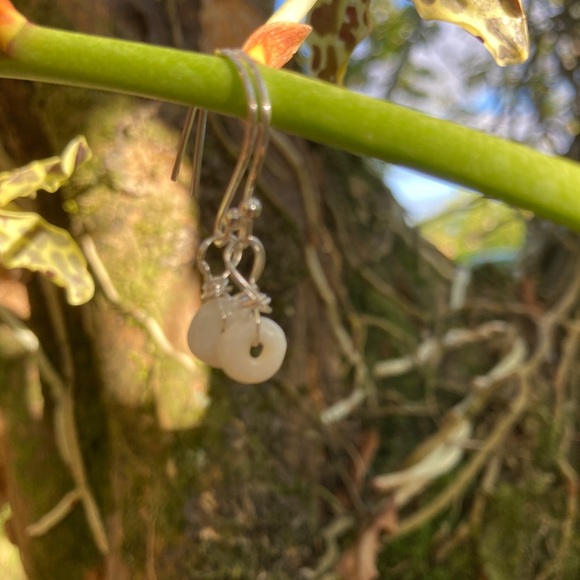 Authentic Hawaiian Puka shell earrings - Picture 5 of 6